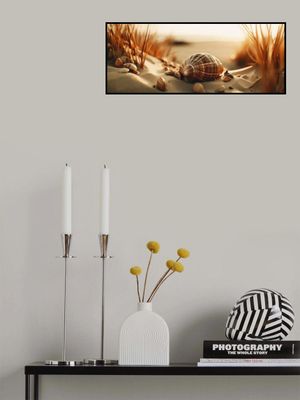 Dunes' Silent Shells