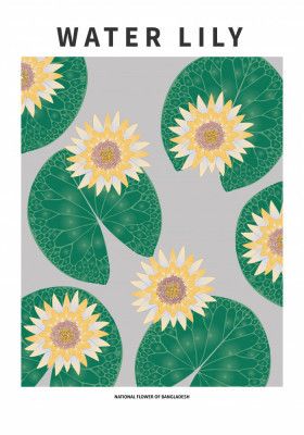 Water lily - National flower of Bangladesh