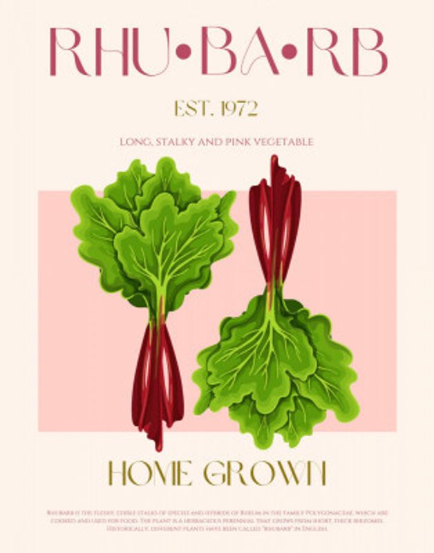 Illustrated Rhubarb With Vibrant Pink Stalks
