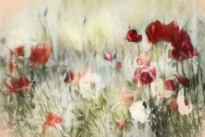 Charming wild nature