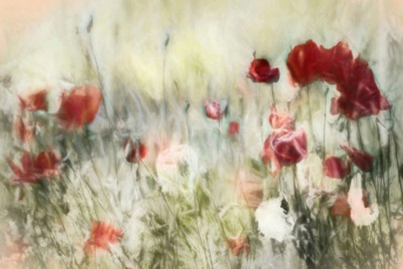 Charming wild nature