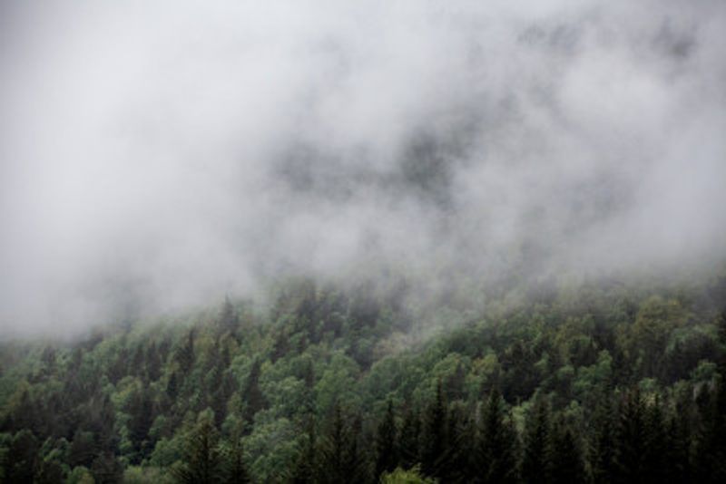 Somewhere In Norway 5