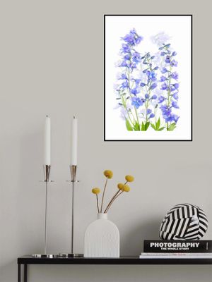 Delphinium