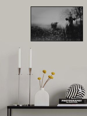 Foggy memory  of the past