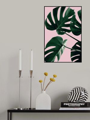 Monstera Pink No 08