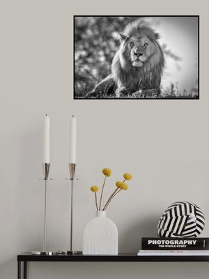 Monochromatic lion king