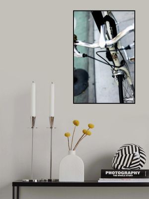 Chrome Bicycle Elegance