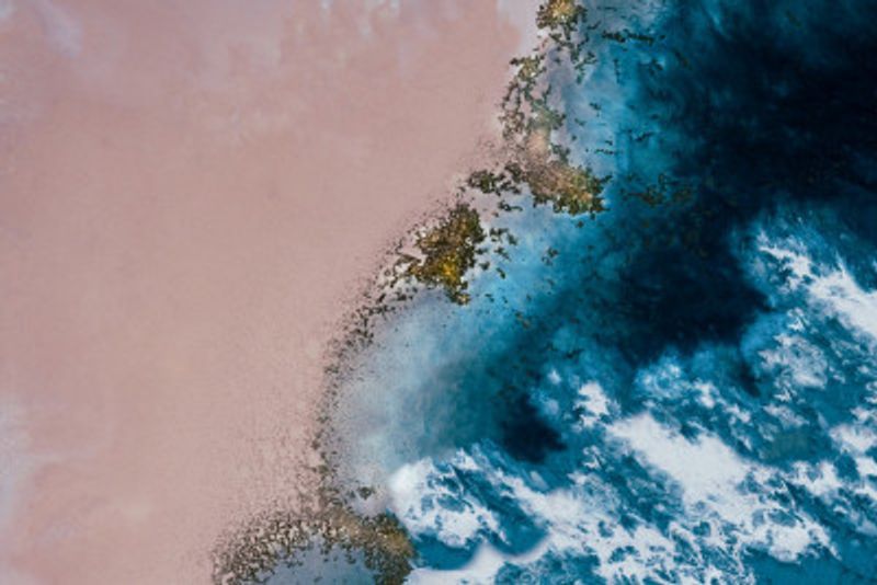 Aerial Coastal - Wind Swept Beach