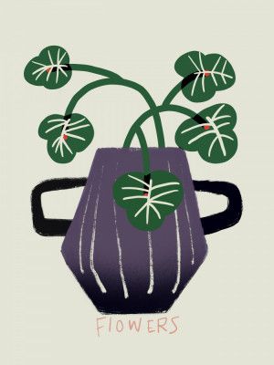 Green With Red Accents