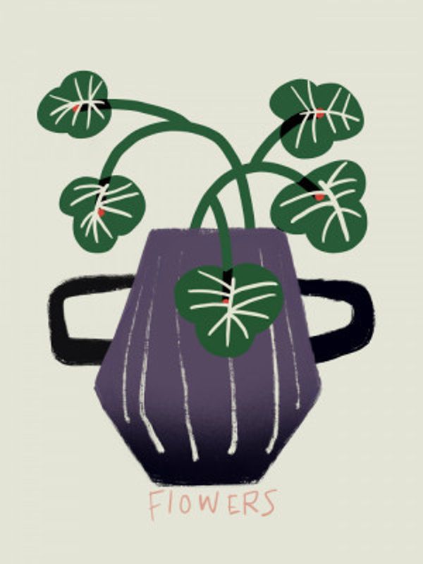 Green With Red Accents