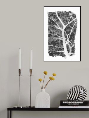 Black Tree Foliage Silhouette