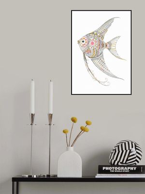 Angel Fish Delicate Tints