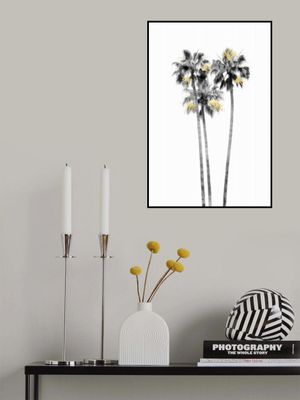 Palm Tree Black, White and Gold 03