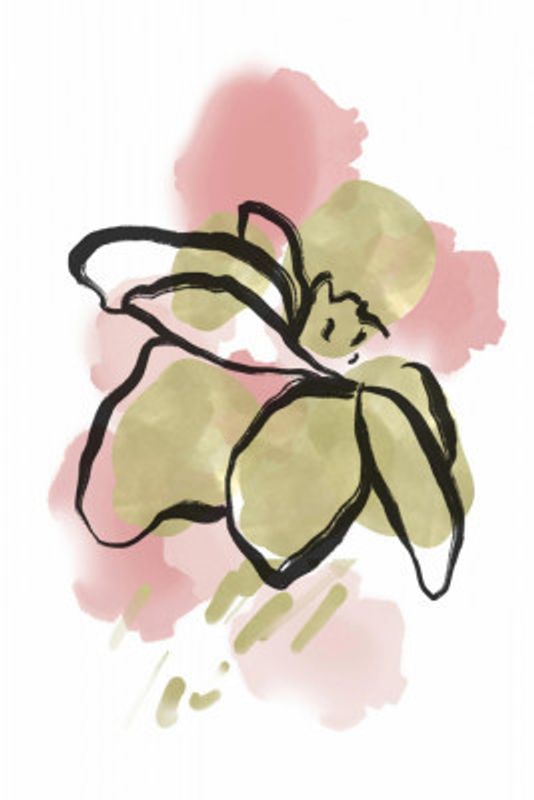 Botanical Pink Green 2