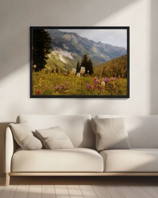 Washington Wildflowers