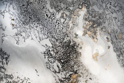 Neutral Tones - Delicate