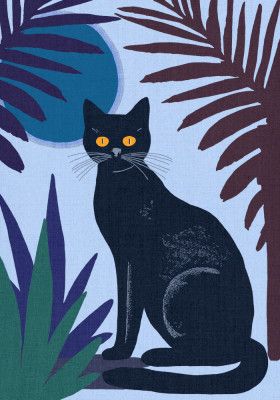 Black Cat with Yellow Eyes