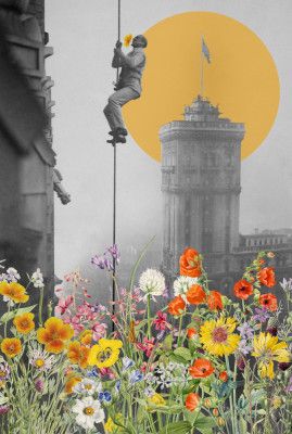 A New York Summer Love Story