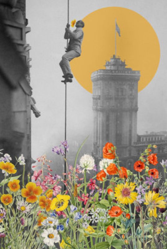 A New York Summer Love Story