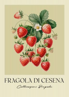 Fragola Di Cesena