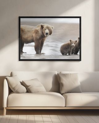 Momma Bear and Cubs