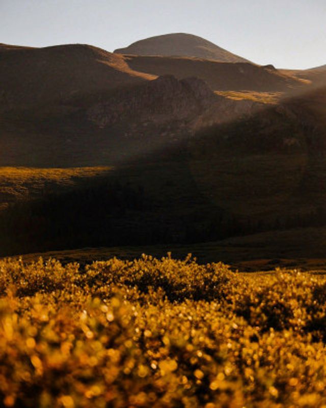 Mount Bierstadt Sunrise