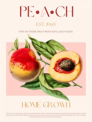 Vintage Style Peach Illustration