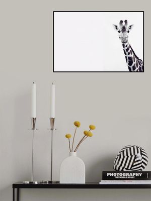 Giraffe's Gentle Gaze