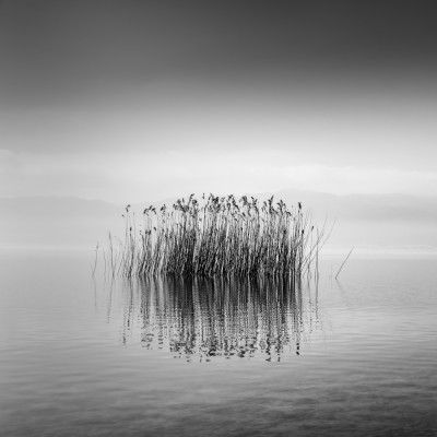 Black and White Silence