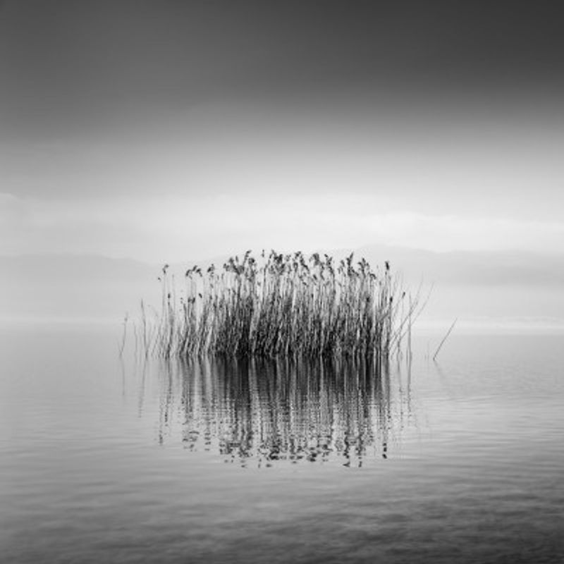 Black and White Silence