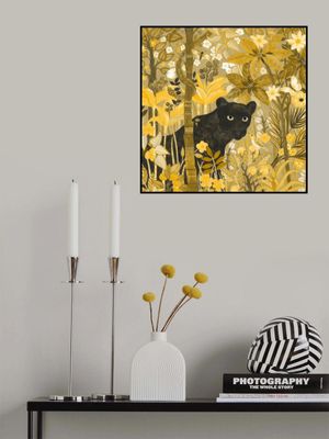 Panther  Hidden Tropics