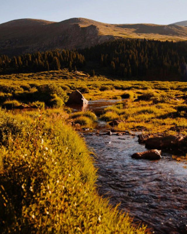 Guanella Pass Stream Crossing