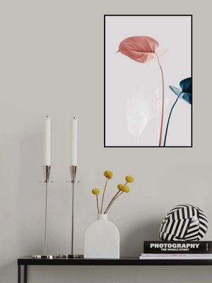 Monstera Creative 25