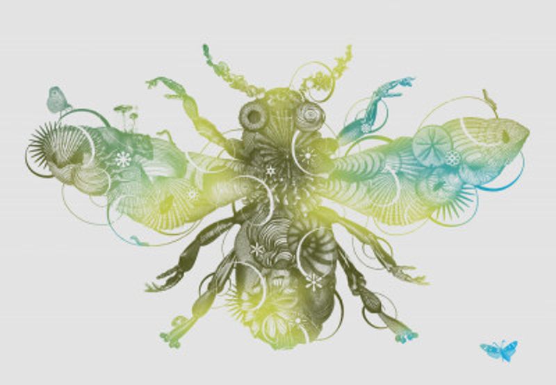 Bee - black and white