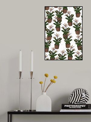 Bird Of Paradise Pattern