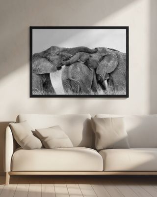 Elephant Playing