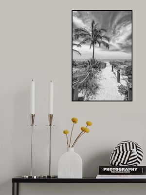 Path to the beach - monochrome