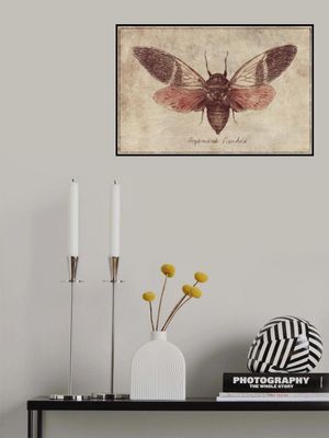 Curious Cicada Charm