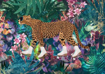 Cheetah Rollerskating in the jungle