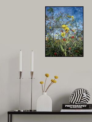 Wild In the Country (1)