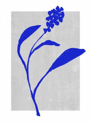 Azure Blossom Silhouette