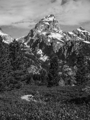 The Grand Teton in Black-and-White