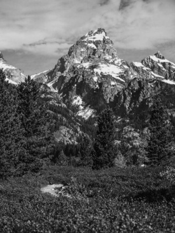 The Grand Teton in Black-and-White