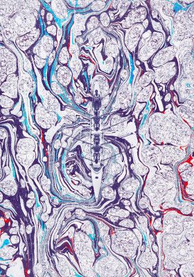 Kayak Gliding Through Swirling