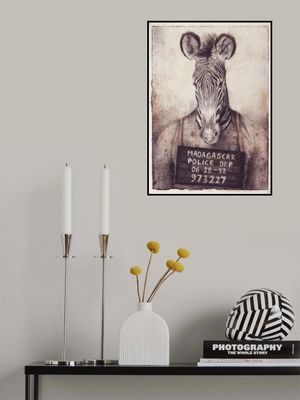 Zebra Mugshot Mystery