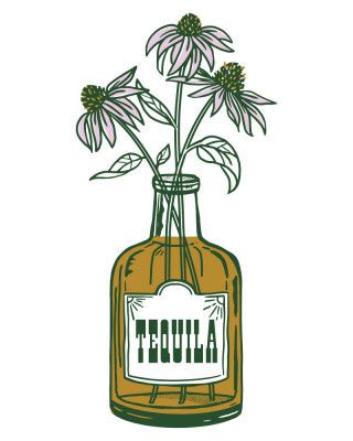 Tequila Potted Florals