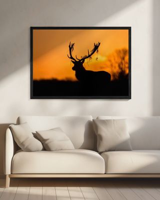 Red Deer Stag Silhouette