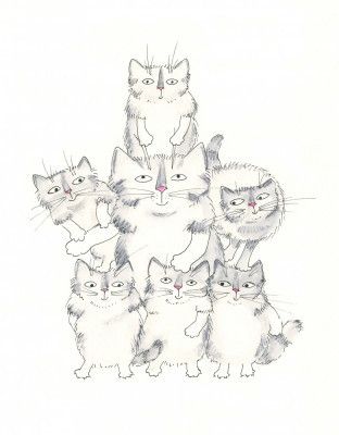 Cat Family