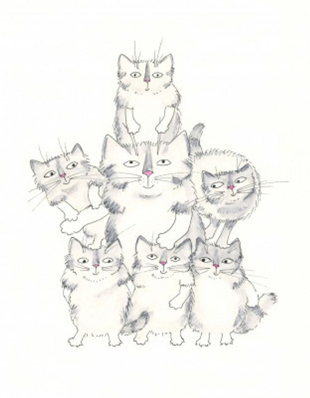 Cat Family