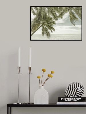 FLORIDA Vintage Oceanview